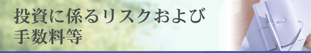 投資に係るリスクおよび手数料等タイトル